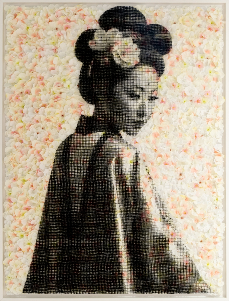 Collel - Yumi