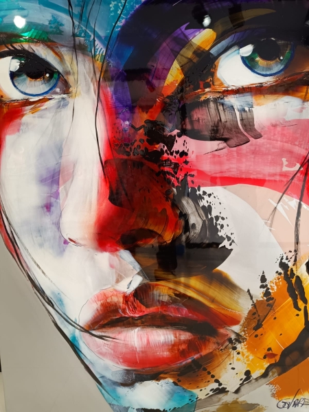 Oeuvre époustouflante de l'artiste française Fabiola Govare intitulée LIBRE représentant un visage féminin élégant peinte sur aluminium, abstrait avec beaucoup de couleurs, le regard est perçant