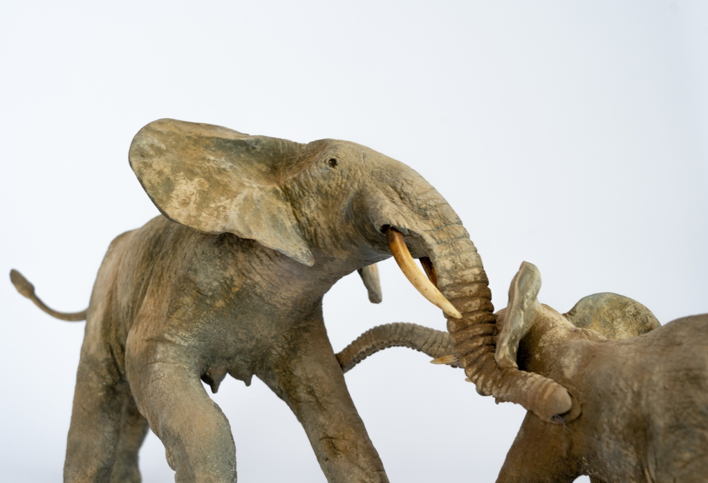 Zoom sur la création unique et originale de l'artiste Français François VANDENBERGHE représentant ici un éléphant et son éléphanteau jouant joyeusement. Ensemble sculpturale bronze s'inscrivant dans le mouvement de l'hyper réalisme.