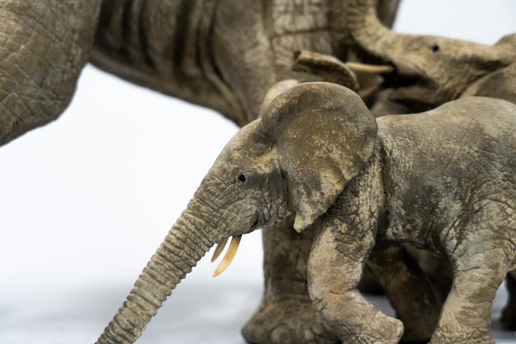 Détail de cette allégorie de la famille réalisée par François VANDENBERGHE avec cet ensemble sculptural en bronze exécuté d'après la méthode de fonte à la cire perdue. oeuvre d'art représentant un mère éléphant suivie de près par ses 3 éléphanteaux, travail de patine sablée d'un réalisme saisissant.