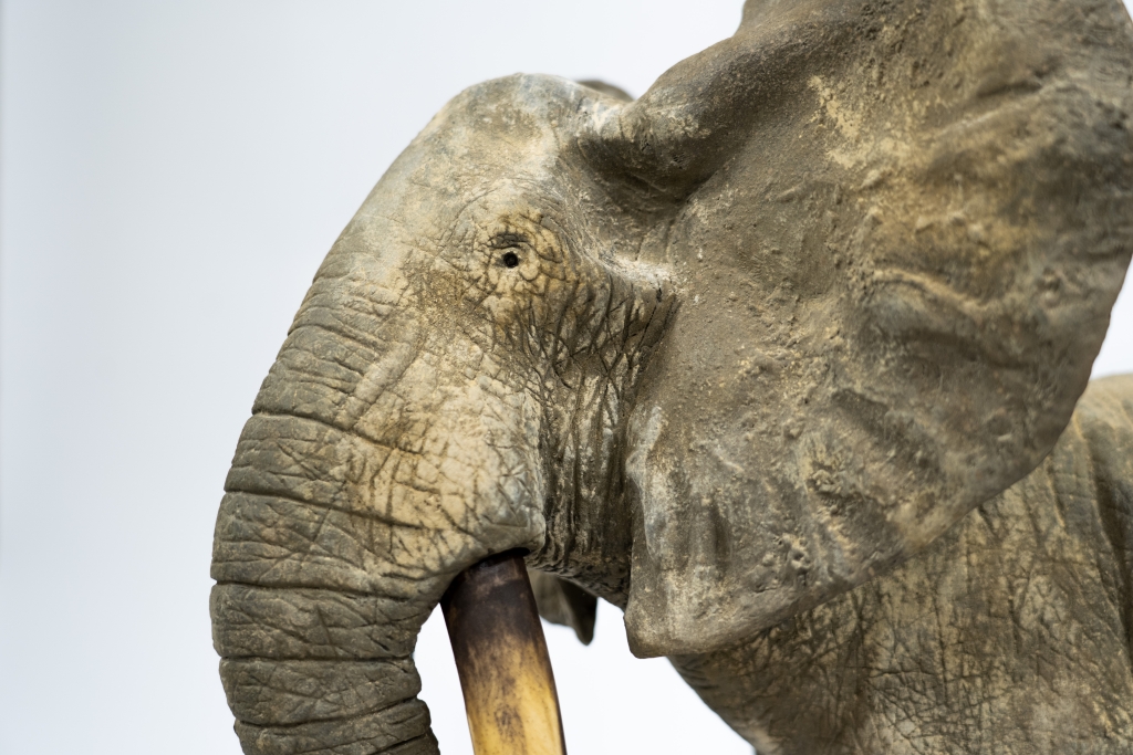 Zoom de cette allégorie de la famille réalisée par François VANDENBERGHE avec cet ensemble sculptural en bronze exécuté d'après la méthode de fonte à la cire perdue. oeuvre d'art représentant un mère éléphant suivie de près par ses 3 éléphanteaux, travail de patine sablée d'un réalisme saisissant.