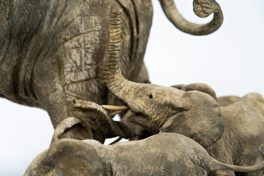 Troisième détail de cette allégorie de la famille réalisée par François VANDENBERGHE avec cet ensemble sculptural en bronze exécuté d'après la méthode de fonte à la cire perdue. oeuvre d'art représentant un mère éléphant suivie de près par ses 3 éléphanteaux, travail de patine sablée d'un réalisme saisissant.