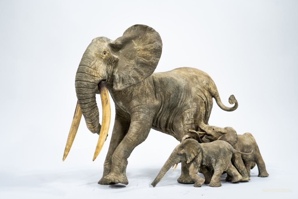 Allégorie de la famille réalisée par François VANDENBERGHE avec cet ensemble sculptural en bronze exécuté d'après la méthode de fonte à la cire perdue. oeuvre d'art représentant un mère éléphant suivie de près par ses 3 éléphanteaux, travail de patine sablée d'un réalisme saisissant.