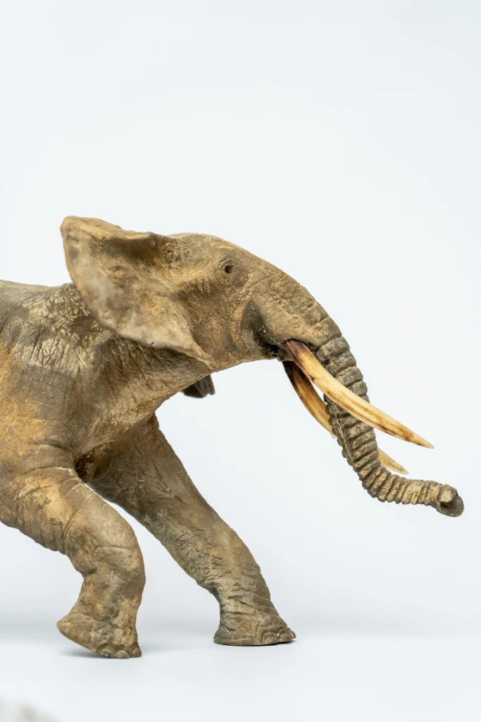 Gros plan sur la sculpture en bronze petit format de François VANDENBERGHE représentant ici un petit éléphanteau d'un hyper réalisme certain